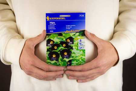 Malwa Ogrodowa Nigra – Kiepenkerl