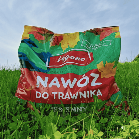 Domyślna nazwa