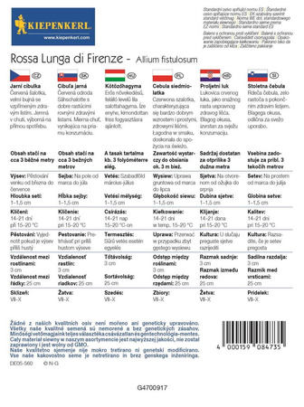 Cebula siedmiolatka Rossa Lunga di Firenze