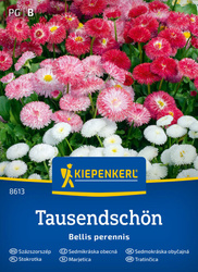 Stokrotka pospolita Mix Bellis perennis