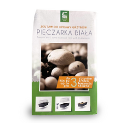 Zestaw Do Uprawy Grzybów - Pieczarka Biała 3 l