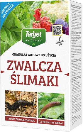 Domyślna nazwa