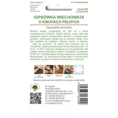 Gipsówka wiechowata – biała – 1 g Legutko