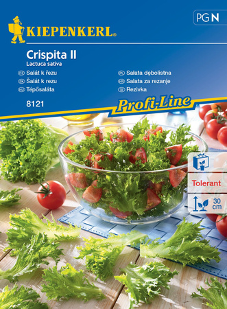 Sałata dębolistna ,,Crispita II’’ – Kiepenkerl