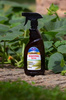 Skrzypal spray – stymulator wzrostu ze skrzypu polnego – 500 ml
