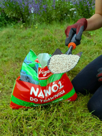 Domyślna nazwa
