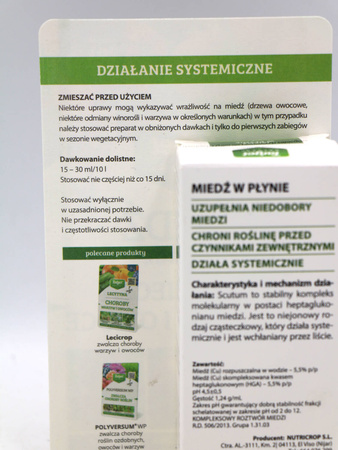 Domyślna nazwa