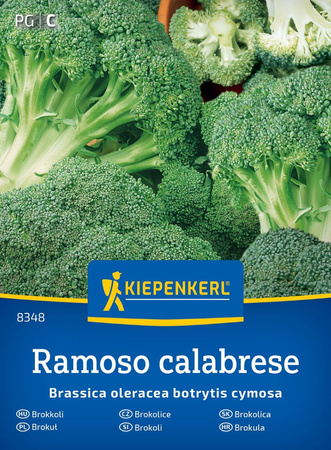 Brokuł Calabrese natalino